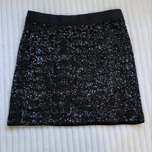 Sequin Skirt